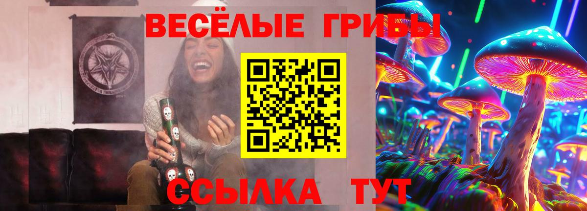 Йошкар-Ола  Псилоцибиновые грибы GOLDEN TEACHER  Вход с VPN  Псилоцибиновые грибы мухоморы 
