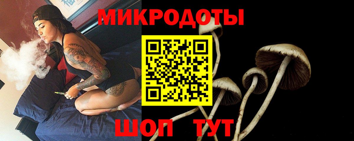 Псилоцибиновые грибы GOLDEN TEACHER Йошкар-Ола