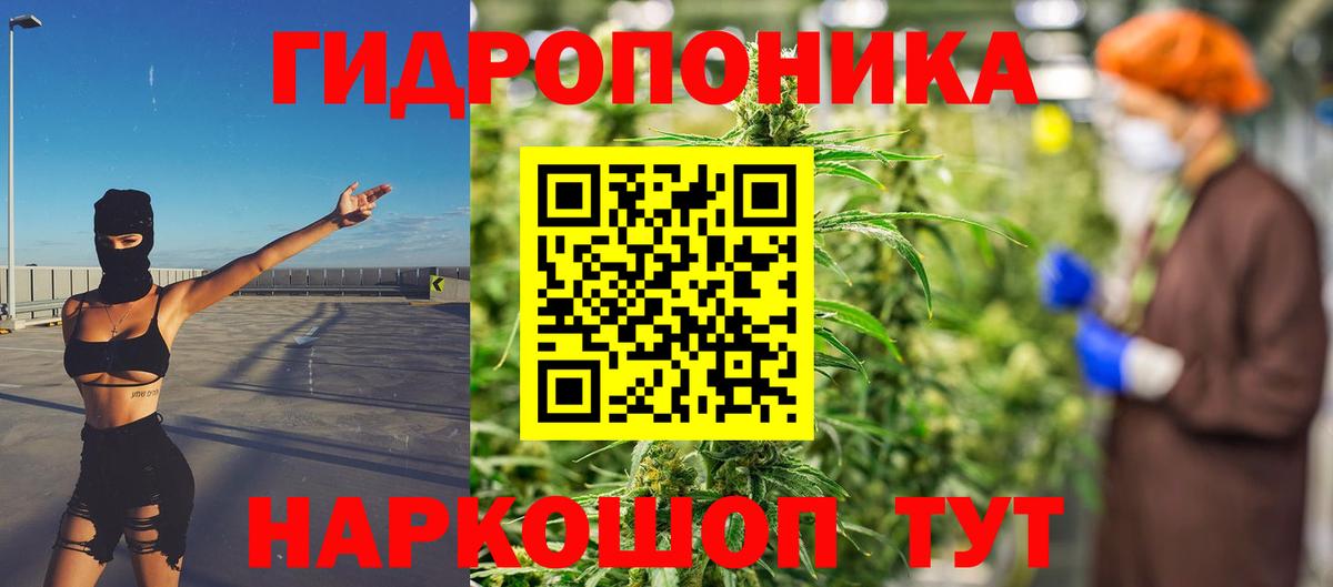МАРИХУАНА LSD WEED  Каннабис план  Вход с VPN  Йошкар-Ола  Бошки марихуана планчик 
